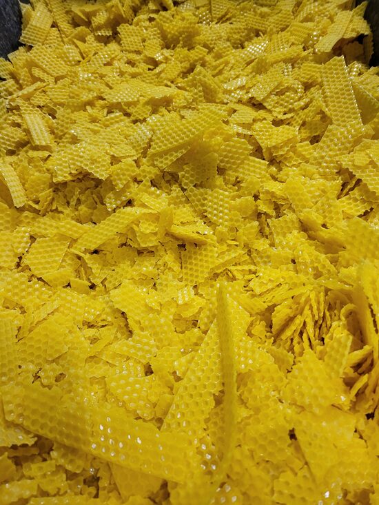 Bišu vaska šūnu atgriezumi